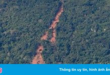 Chưa thể tiếp cận hiện trường vụ sạt lở núi Bà Đen