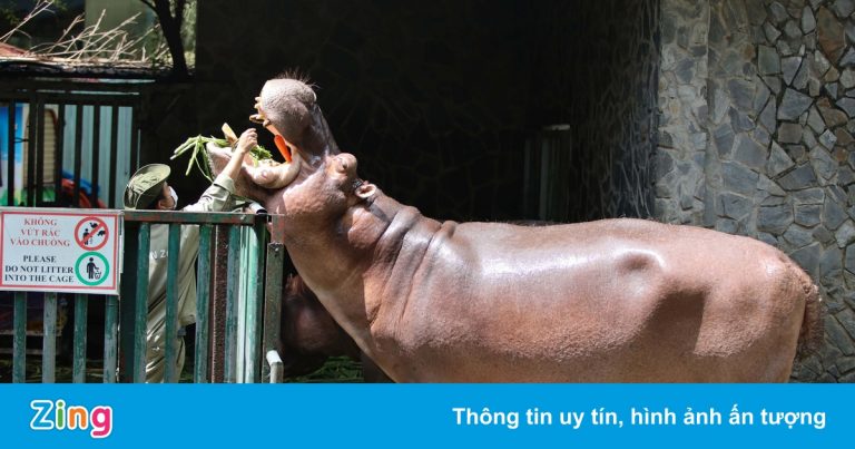 Thảo Cầm Viên mở cửa đón khách từ 5/11