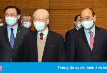 Hội nghị Văn hóa toàn quốc diễn ra sáng nay