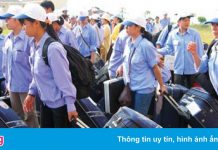 Hai người lừa 165 lao động sang Hàn Quốc để chiếm đoạt 3 tỷ đồng