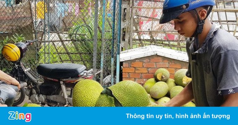 Xuất khẩu sang Trung Quốc gặp khó, mít Thái rớt giá còn 2.000 đồng/kg