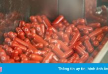 Nghiên cứu mới về hiệu quả thuốc Molnupiravir điều trị Covid-19