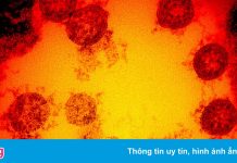 Australia phát triển vaccine mRNA đầu tiên