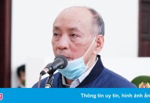 Cựu Tổng giám đốc Gang thép Thái Nguyên xin giảm án