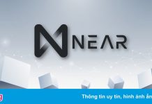 Lý do không nên đầu tư NEAR ngắn hạn
