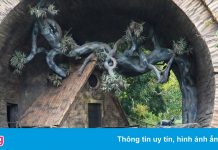 Ngôi nhà ‘có một không hai’ ở đảo Cát Bà