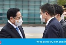 Lịch trình trong chuyến thăm Nhật Bản của Thủ tướng Phạm Minh Chính