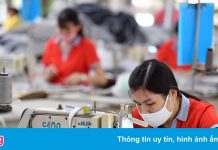 90% doanh nghiệp ở Long An, Bến Tre hoạt động trở lại