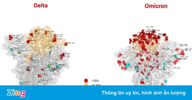 Italy công bố ảnh so sánh đột biến của biến chủng Omicron và Delta