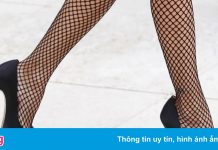 Sự thay đổi về tất lưới