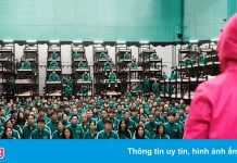 Coin ăn theo phim ‘Squid Game’ đột ngột phá sản