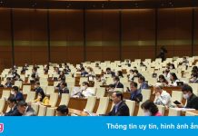 Đoàn ĐBQH TP.HCM không họp tập trung vì có 2 ca mắc Covid-19