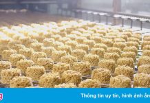 Quy định bổ sung muối i-ốt, sắt, kẽm vào thực phẩm gây khó