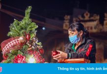 Cây thông 12 triệu đồng trên phố đồ chơi Noel Hà Nội