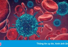 Phát hiện protein trong virus SARS-CoV-2 gây bệnh tim