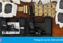 Nhiều súng, đạn trong nhà người phụ nữ ở Hải Phòng