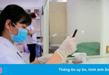 Sinh viên TP.HCM đến trường làm luận văn, học thực hành