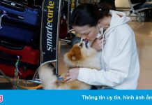 Cảnh đoàn tụ trong ngày bước ngoặt của đại dịch ở Mỹ