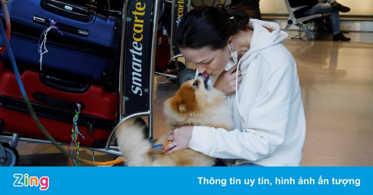 Cảnh đoàn tụ trong ngày bước ngoặt của đại dịch ở Mỹ