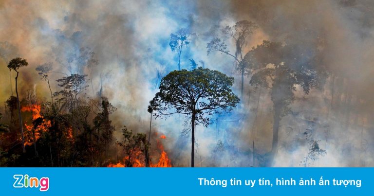 Thắng lợi đầu tiên ở hội nghị COP26