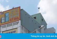 Sóc Trăng dự kiến không cho nuôi chim yến tại các phường, thị trấn