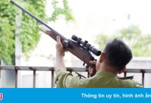 Bắt được con khỉ cụt chân cắn người ở TP.HCM