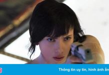 Lựa chọn bị Hollywood bỏ quên