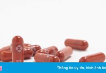 Quốc gia đầu tiên cấp phép thuốc Molnupiravir điều trị Covid-19
