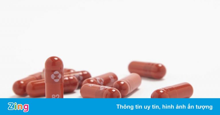Quốc gia đầu tiên cấp phép thuốc Molnupiravir điều trị Covid-19 Quốc gia đầu tiên cấp phép thuốc Molnupiravir điều trị Covid-19