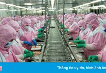 Doanh nghiệp miền Tây tuyển lao động, chấp nhận chi phí sàng lọc F0