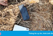 Vụ dàn cảnh cướp 37 tỷ đồng tiền ảo: Hai cựu cán bộ công an kêu oan