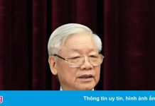 Tổng bí thư: Đẩy nhanh điều tra, xử nghiêm sai phạm lĩnh vực y tế