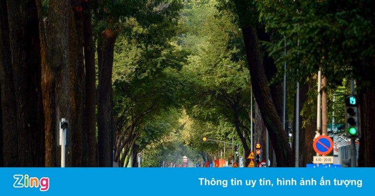 Thêm 8.129 người mắc Covid-19, TP.HCM có 1.276 ca Thêm 8.129 người mắc Covid-19, TP.HCM có 1.276 ca