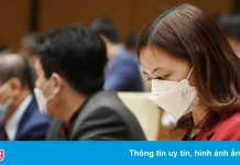 Văn hóa Việt Nam là thành quả hàng nghìn năm lao động sáng tạo