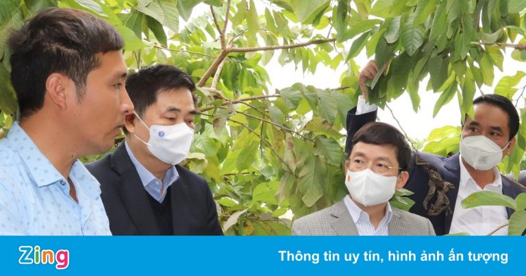 Đề cao vị trí chiến lược của nông nghiệp, nông dân, nông thôn Đề cao vị trí chiến lược của nông nghiệp, nông dân, nông thôn