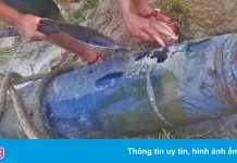Quả bom nặng hơn 300 kg dưới ruộng