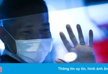 Tuyển Nhật Bản đến Việt Nam