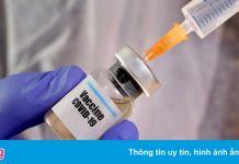 Phát hiện mới về hiệu quả vaccine trong ngăn chặn tử vong do Covid-19