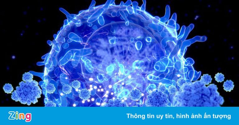 Lý do biến chủng Omicron đáng lo ngại