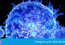 WHO xếp biến chủng Omicron ở Nam Phi vào nhóm ‘đáng lo ngại’