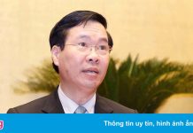 Nghiên cứu thấu đáo khi xây dựng luật, không chạy theo dư luận xã hội