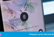 Google gọi vân tay bị chậm trên Pixel 6 là tính năng, không phải lỗi