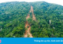 Khắc phục hiện trường sạt đất trên đỉnh núi Bà Đen