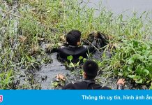 Cảnh sát lặn tìm người đàn ông nhảy kênh ở TP.HCM