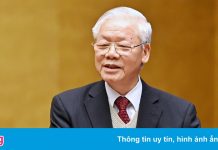 Tổng bí thư: ‘Văn hóa còn là dân tộc còn’