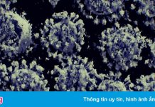 Phát hiện mới về F0 có nguy cơ mắc bệnh nặng và tử vong cao