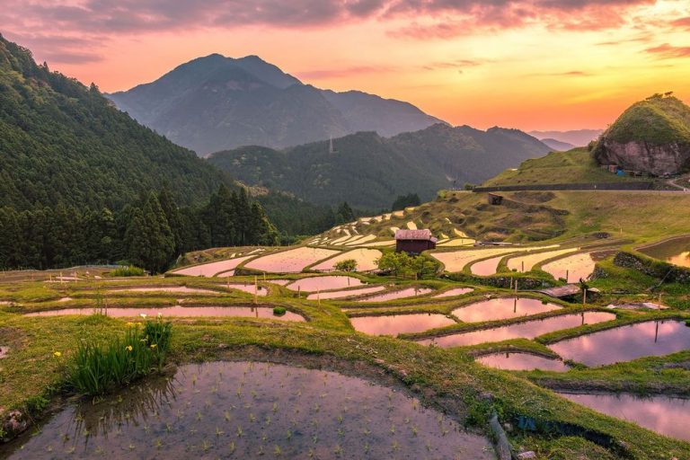 10 sự thật khó tin về Nhật Bản khiến bạn muốn bay sang ngay để kiểm chứng 10 sự thật khó tin về Nhật Bản khiến bạn muốn bay sang ngay để kiểm chứng