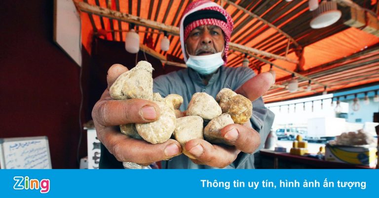 Loại nấm truffle mọc trên sa mạc ở Trung Đông