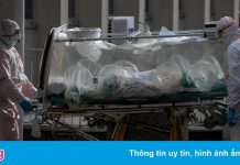 WHO: Chưa có ca tử vong nào trên thế giới do nhiễm biến chủng Omicron