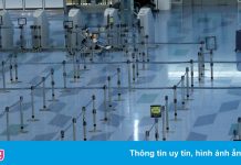 ‘Tôi đang chờ ngày sang Nhật thì biến chủng Omicron xuất hiện’